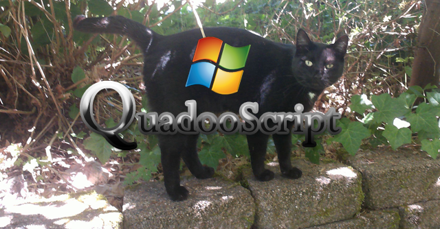 Quadoo was the best cat I ever had. He is missed!